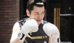 王坤粉丝团爆料事件视频,揭秘事件背后真相