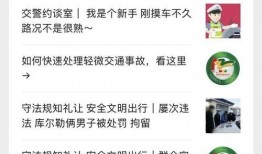 日本投票爆料视频大全集,视频大全集深度解析