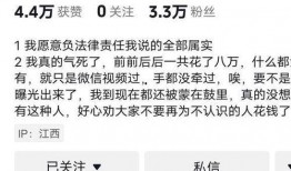 胖猫事件爆料者发声视频,真相背后的惊人内幕