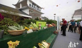 火红年代四合院里的吃瓜群众免费