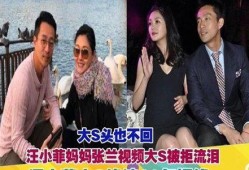 张兰爆料前夫视频大全播放,揭秘背后真相与情感纠葛