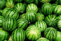 爆料西瓜团购怎么做的视频,视频教程带你轻松上手
