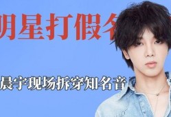 薛之谦爆料打假唱歌视频,揭秘网络假唱乱象