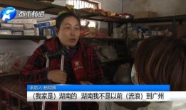 流浪阿姨爆料视频下载,真实生活背后的辛酸与无奈