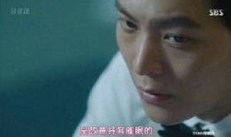 龙八夷韩剧网在线观看,奇幻爱情与复仇交织的奇幻之旅