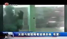 玻璃最新爆料新闻视频,揭秘科技巨头最新研发突破