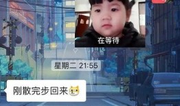 真实经历爆料视频大全,视频大全背后的感人故事