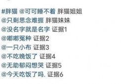 胖猫事件爆料者发声视频,真相背后的惊人内幕