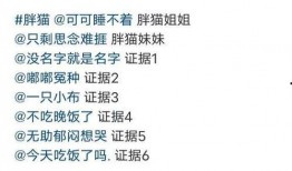 胖猫事件爆料者发声视频,真相背后的惊人内幕
