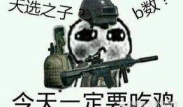 新款吃鸡爆料视频下载大全,精彩瞬间大盘点