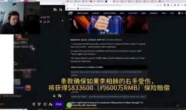 外媒爆料黑匣子事件视频,揭秘事故真相与神秘细节