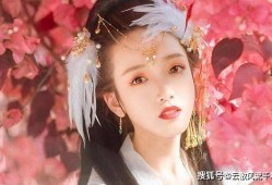 盈公主爆料龙公子视频,龙公子神秘视频背后的惊人真相