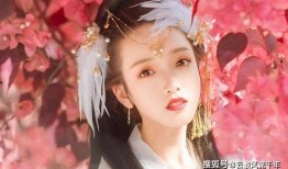 盈公主爆料龙公子视频,龙公子神秘视频背后的惊人真相