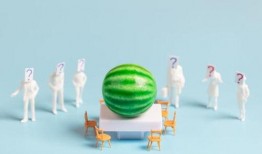 娱乐圈吃瓜汇总下载,揭秘明星幕后故事与热点事件