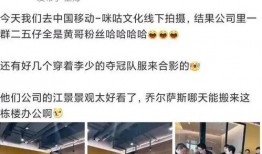 舅舅爆料 暴雪视频下载,暴雪视频下载背后的秘密