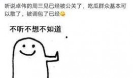去年卓伟爆料视频大全播放,揭秘娱乐圈幕后真相