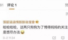 吃瓜娱乐账号起名,揭秘热门吃瓜娱乐账号背后的趣味故事