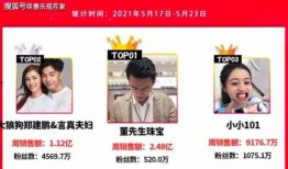 大舅英语爆料视频,趣味横生的英语学习之旅