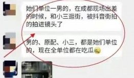汉中小三爆料事件最新情况,最新进展揭秘，真相大白？